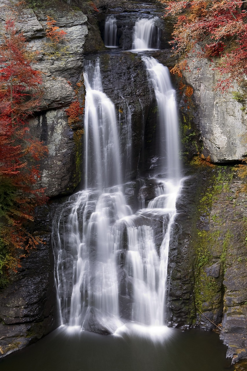 How much water did people through history actually drink?